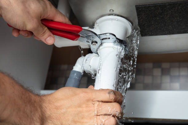 Best Local water damage restoration  in West Belmar, NJ