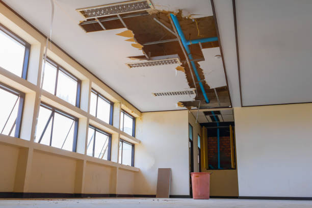 Best Water damage restoration company  in West Belmar, NJ