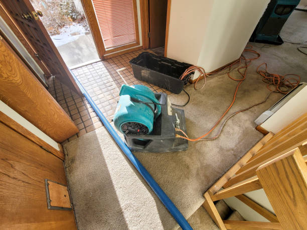 Best Water damage restoration near me  in West Belmar, NJ