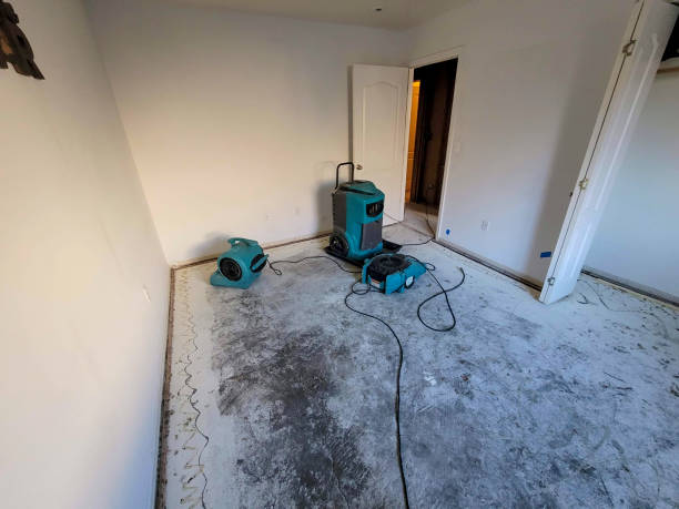 Best Fire Damage Restoration  in West Belmar, NJ