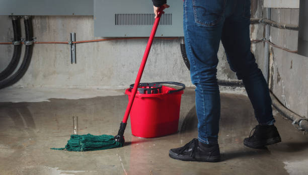 Best Professional water damage repair  in West Belmar, NJ