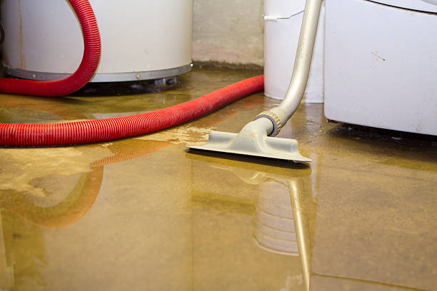 Best Professional water damage repair  in West Belmar, NJ
