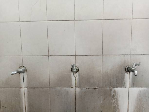  West Belmar, NJ Water damage restoration Pros