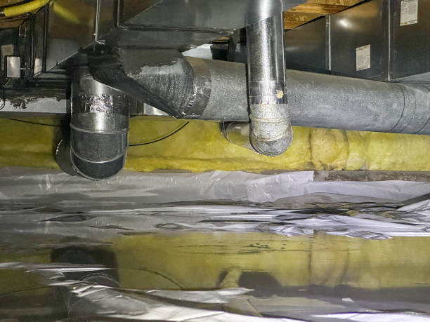 Best Carpet water damage restoration  in West Belmar, NJ