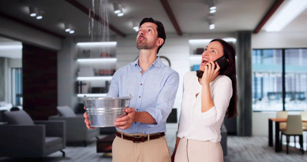 Best Carpet water damage restoration  in West Belmar, NJ